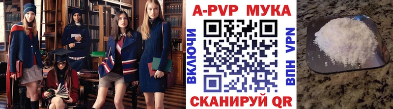 где можно купить   Ярославль  Альфа ПВП СК 