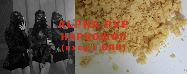 индика Краснослободск