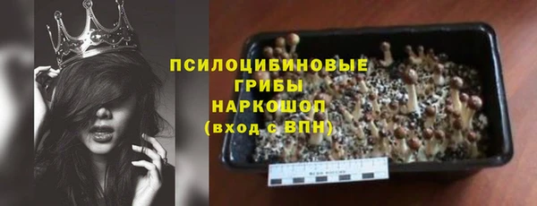 первитин Коряжма