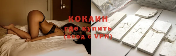 индика Краснослободск