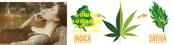 PSILOCYBIN Красноперекопск