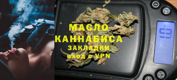 индика Краснослободск