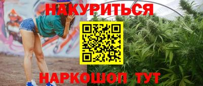 гашик Бийск