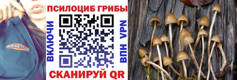 даркнет сайт  Ярославль  Галлюциногенные грибы Cubensis 