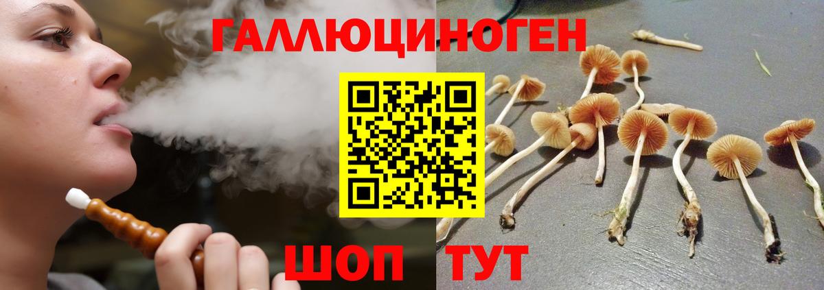 Галлюциногенные грибы мухоморы  Ярославль  Галлюциногенные грибы Psilocybe 